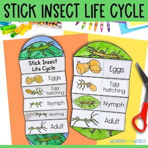 以下が含まれることがあります： 子供向けの、印刷可能なナナフシのライフサイクルクラフト。このクラフトは、卵、孵化、幼虫、脱皮、成虫など、ナナフシのライフサイクルの各段階をカラフルなイラストで示しています。クラフトには、各段階の名前がラベル付けされています。