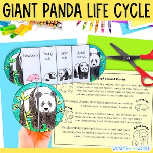 May include: A colorful educational craft illustrating the giant panda life cycle. The image shows a circular paper craft with stages labeled "Newborn," "Young cub," "Older cub," and "Adult panda." Text explains each stage. Scissors and crayons are also visible.