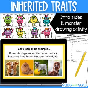 Inherited traits characteristics presentation and activity | elementary primary science | PowerPoint, Google Slides and PDF digital download