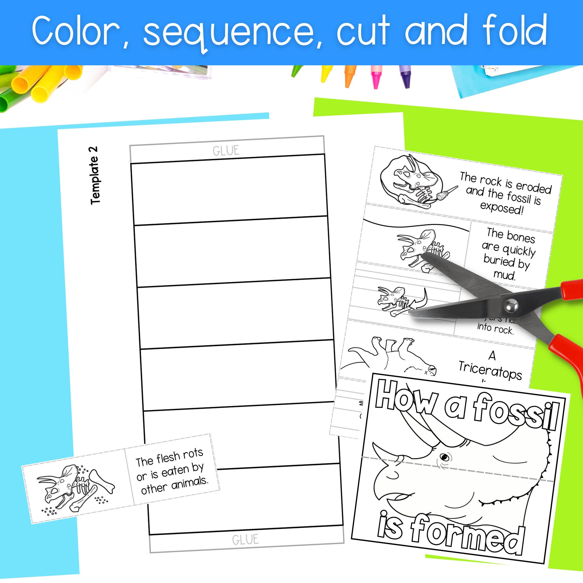 How a Dinosaur Fossil is Formed Foldable Sequencing Activity Printable ...