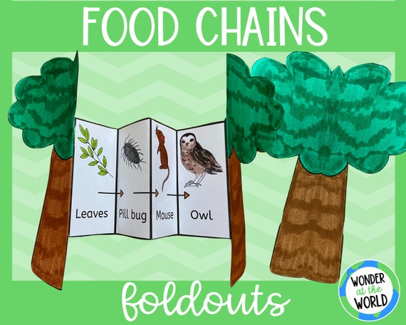 Food Chains Foldable Kids