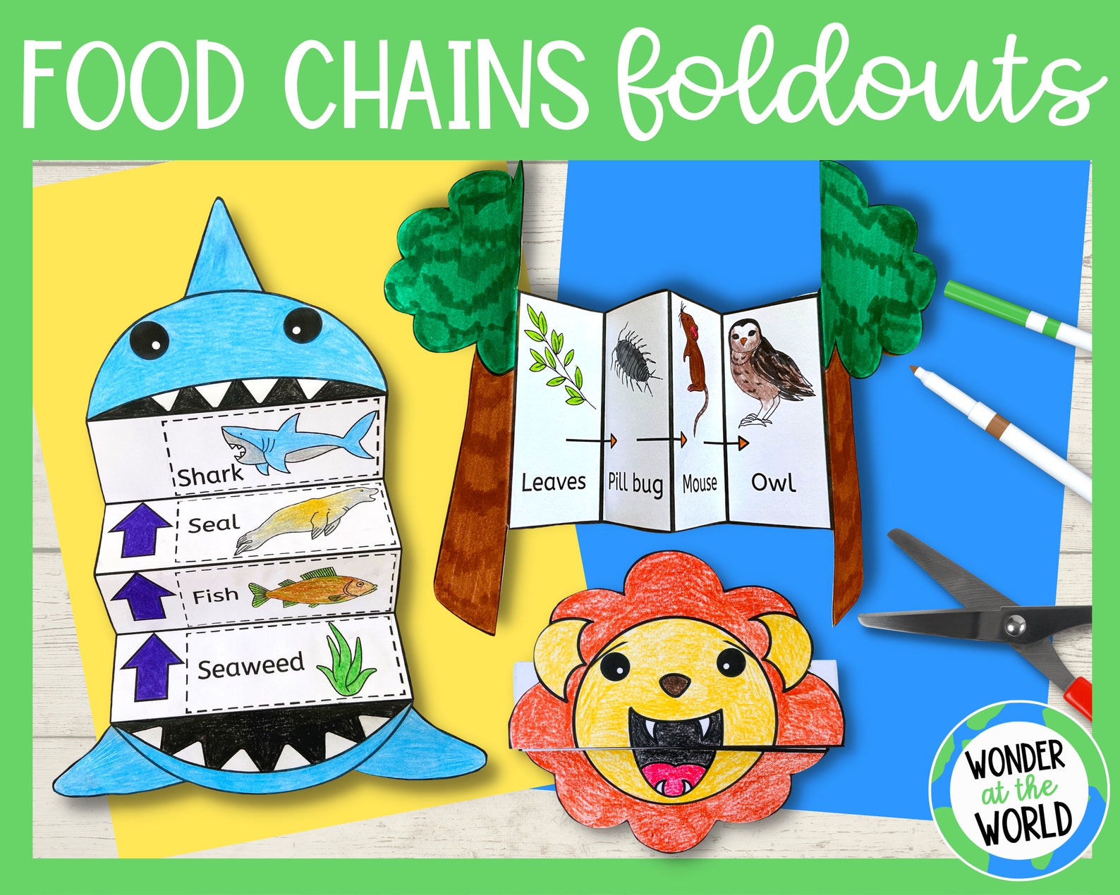 Make a Food Chain Foldable Activities PDF A4 and 8.5x11 Inch Science ... Biology Diagrams