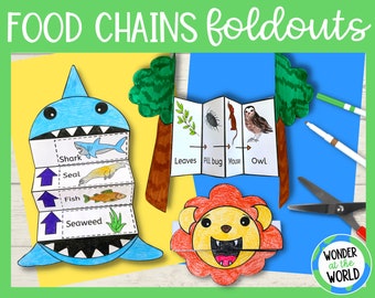 Make a food chain foldable activities PDF | A4 and 8.5x11 inch | Science Worksheet Craft | Food Chains for Different Habitats Printable