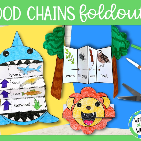 Make a food chain foldable activities PDF | A4 and 8.5x11 inch | Science Worksheet Craft | Food Chains for Different Habitats Printable