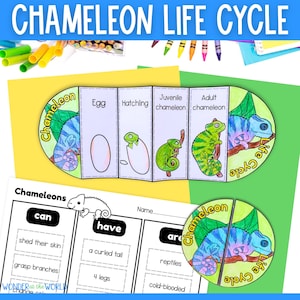 May include: A colorful printable chameleon life cycle craft for kids. The craft includes a wheel with images of a chameleon egg, hatching, juvenile, and adult chameleon. The craft also includes a worksheet with the words "can", "have", and "are" and prompts for students to complete sentences about chameleons.