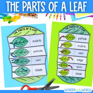 May include: Educational craft featuring two leaf diagrams labeled with parts like midrib, petiole, and blade. The text "THE PARTS OF A LEAF" is at the top. Crayons and scissors are visible, suggesting a hands-on learning activity.