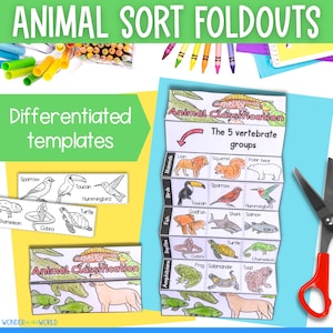 Op de afbeelding: Een printbare dierenclassificatie-uitvouwkaart voor kinderen. De uitvouwkaart bevat vijf categorieën: zoogdieren, vogels, vissen, reptielen en amfibieën. Elke categorie bevat een lijst met dieren met illustraties. De tekst "Dierclassificatie" en "De 5 gewervelde groepen" is inbegrepen.