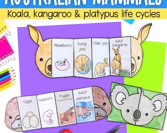 Australian animals mammals life cycle foldout science learning activities kangaroo koala platypus pdf digital download