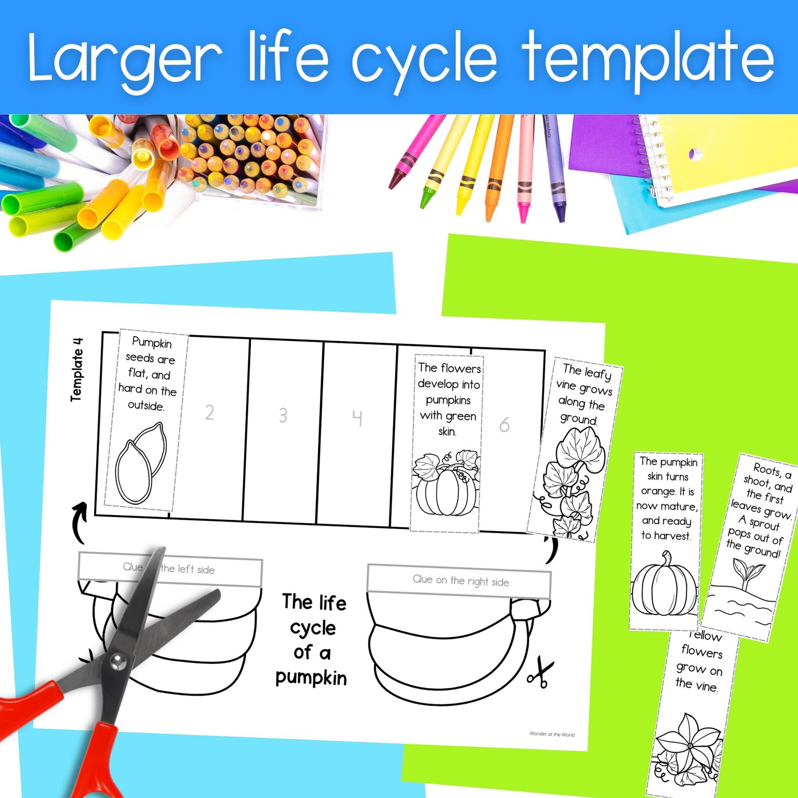 Life Cycle of a Pumpkin and How to Make a Jack O'lantern Foldout ...