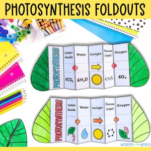 May include: Two colorful photosynthesis foldouts with leaf-shaped edges. Each foldout displays the photosynthesis process, including carbon dioxide, water, sunlight, glucose, and oxygen. The title "PHOTOSYNTHESIS FOLDOUTS" is at the top.