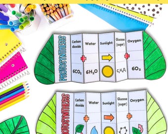 Photosynthesis foldable activities cut and paste for interactive science notebooks PDF digital download