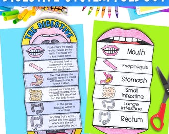 The digestive system human body cut and paste science printable activity