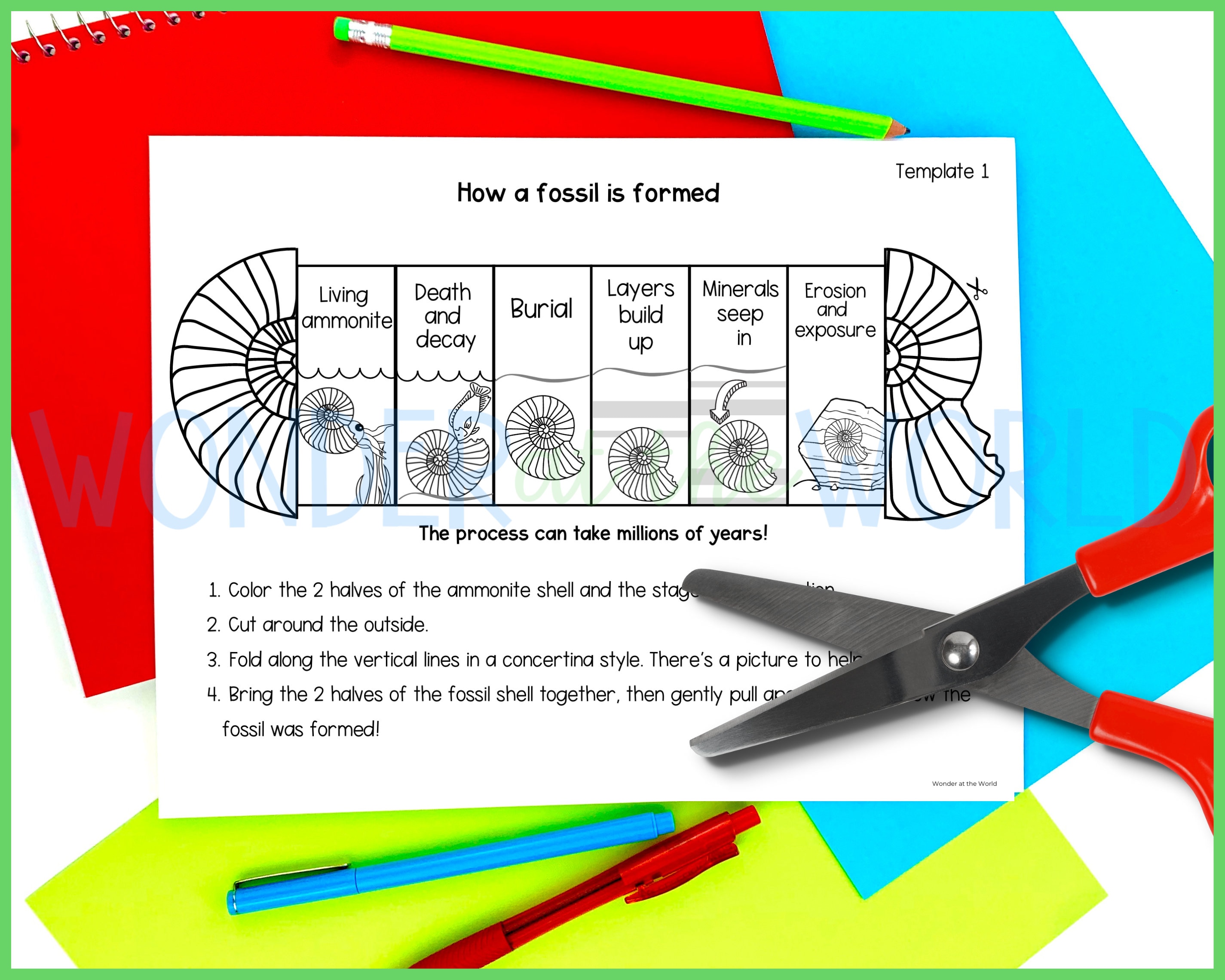 How a Fossil is Formed Printable Craft Activity and Sequencing Cards ...