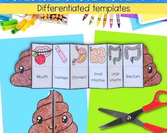 The digestive system human body printable science craft activity