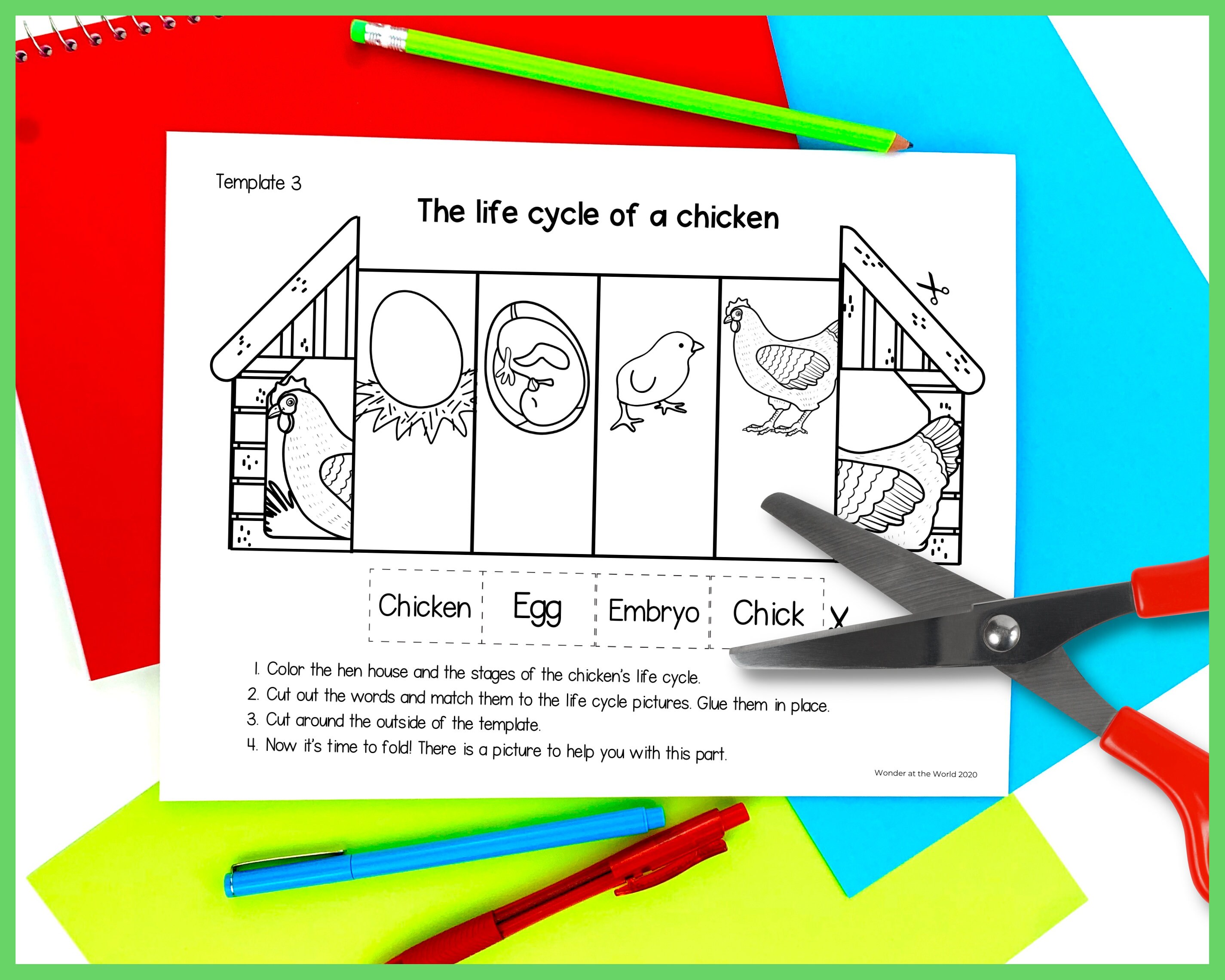 Life Cycle of a Chicken Foldable Kids' Craft A4 and - Etsy