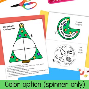 Life Cycle of a Coniferous Christmas Tree Foldout and Spinner Craft ...