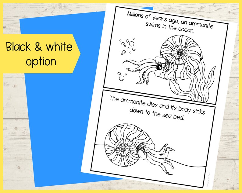 How a Fossil is Formed Printable Craft Activity and Sequencing Cards