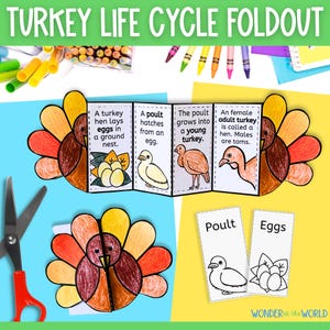 Life cycle of a turkey foldable kids&#39; craft | 11x8.5 inch | Digital Download Printable | Fall Science | Thanksgiving