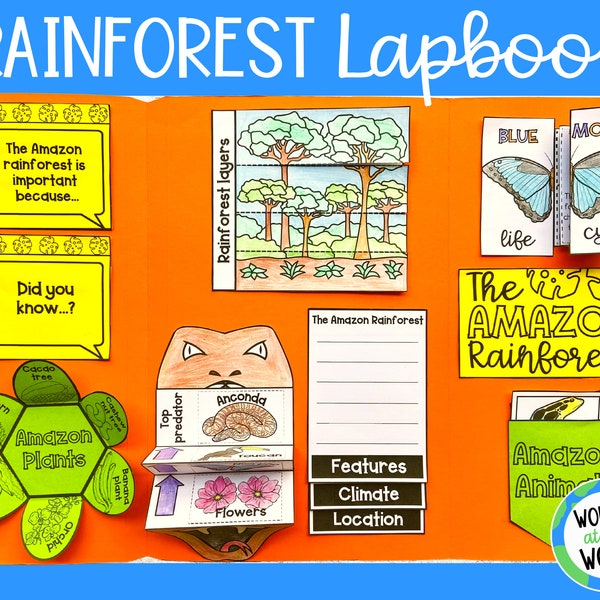 Amazon Lapbook faltbare druckbare Vorlagen | digitaler Download | Kinderaktivität | Wissenschaft und Geographie Projekt