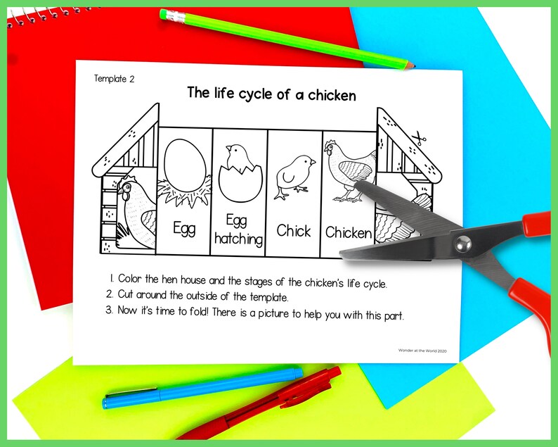 Life Cycle of a Chicken Foldable Kids' Craft A4 and - Etsy
