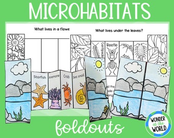 Microhabitats opvouwbare kinderactiviteit | A4 en 11x8,5 inch | Digitale download | Wetenschap