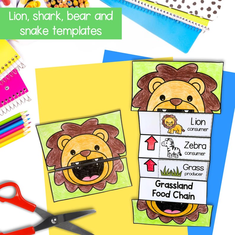 May include: A printable grassland food chain activity for kids. The activity features a lion, zebra, and grass. The lion is a consumer, the zebra is a consumer, and the grass is a producer. The activity is labeled "Grassland Food Chain".