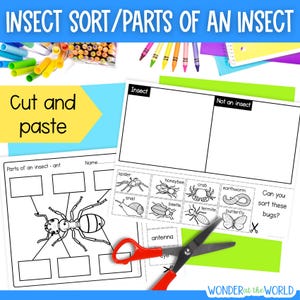 May include: Educational worksheet titled "INSECT SORT/PARTS OF AN INSECT" with illustrations of insects and a sorting activity. Includes a diagram of an ant and a "Cut and paste" section. Colored pencils and scissors are also visible.