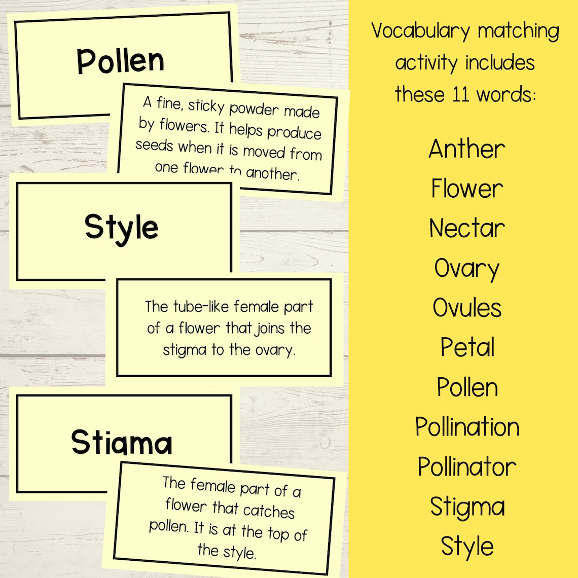 Stages of Insect Pollination Sequence and Fold Science Activity Cut ...
