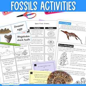 Fossils printable activities worksheets lesson for third fourth grade and KS2 Earth science PDF digital download