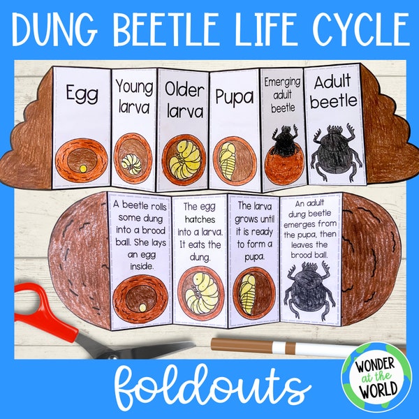 Life cycle of a dung beetle foldable sequencing activity craft for kids | Digital Download PDF printable