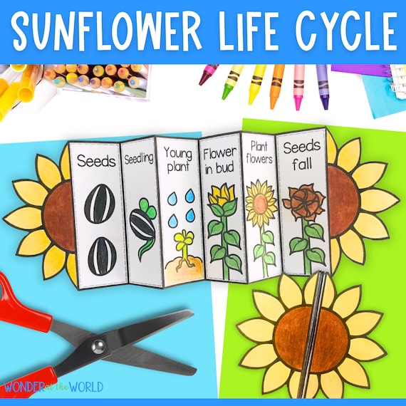R cycle foldable sale