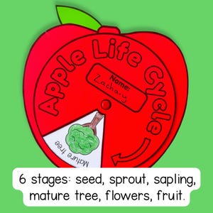 Life Cycle of an Apple Tree Spinner Wheel Sequencing Activity Fall ...