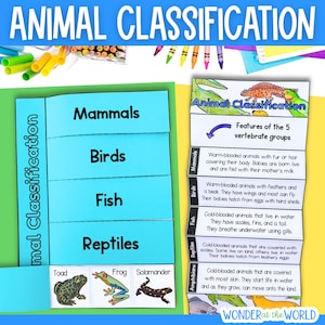 Animal classification grouping living things sorting cut and paste activities