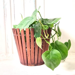 Vintage Teak Holz  Übertopf Mid Century Modern 1960er Pflanzentopfhalter Pflanztopf Pflanzkorb Planter Minimalistisch Scandi Boho