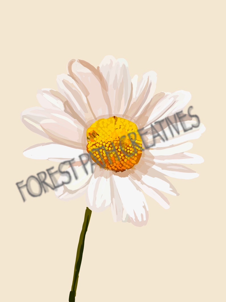 quirky prints modern minimalism print flower whimsical art home wall decor Daisy nature floral poster botanical artwork pretty art