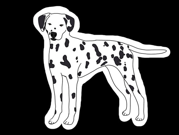 Dalmation Dog Breed Sticker 