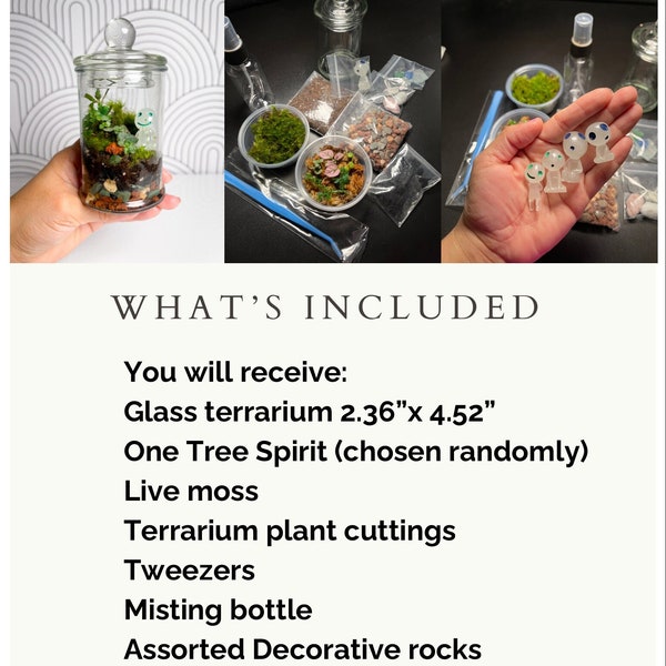 Terrarium Kit DIY Glow in the Dark Mini Terrarium Plant Lover Gift Live Moss Terrarium Plant Cuttings Zen Garden