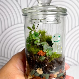 DIY Gifts Terrarium DIY Kit Plant Plant Gifts for Outdoor Lover Live Moss Terrarium Plant Cuttings Fairy Garden Home Decor