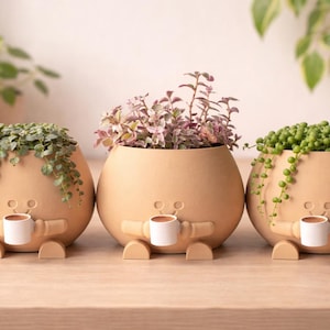 May include: Three beige ceramic planters with whimsical faces, each holding a small white cup. The planters are filled with different types of trailing plants, creating a playful and decorative display for home or office.