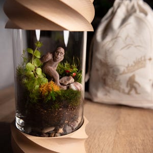 Terrarium Kit DIY Gift for Plant Lover Mini Terrarium with live moss, terrarium plants, zen garden diy kit terrarium gift for Dad image 8