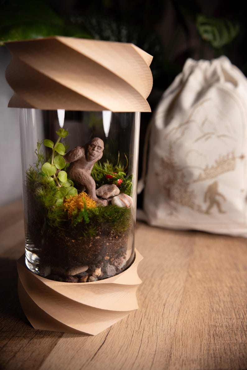 Terrarium Kit DIY Gift for Plant Lover Mini Terrarium with live moss, terrarium plants, zen garden diy kit terrarium gift for Dad image 8