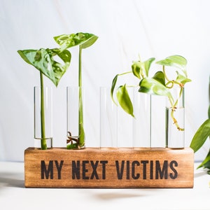 Funny Plant Propagation Station: Wood & Glass Test Tube Planter