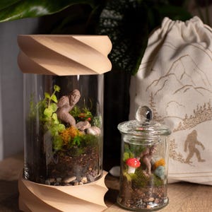 Terrarium Kit DIY Gift for Plant Lover Mini Terrarium with live moss, terrarium plants, zen garden diy kit terrarium gift for Dad image 4