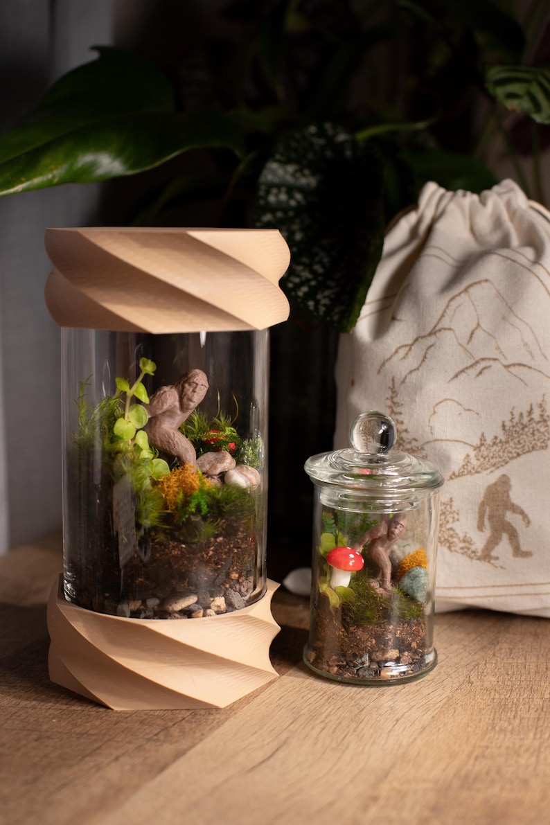 Terrarium Kit DIY Gift for Plant Lover Mini Terrarium with live moss, terrarium plants, zen garden diy kit terrarium gift for Dad image 4