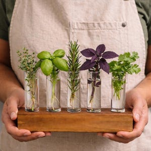 Hydroponic herb garden gift made from solid wood with glass tubes, perfect for keeping fresh herbs vibrant and ready for cooking. Personalized with loved one's name or phrase.