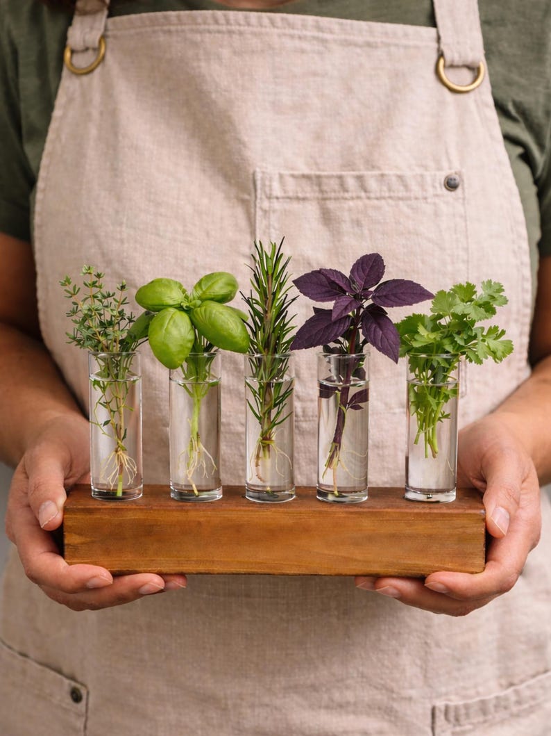 Hydroponic herb garden gift made from solid wood with glass tubes, perfect for keeping fresh herbs vibrant and ready for cooking. Personalized with loved one's name or phrase.