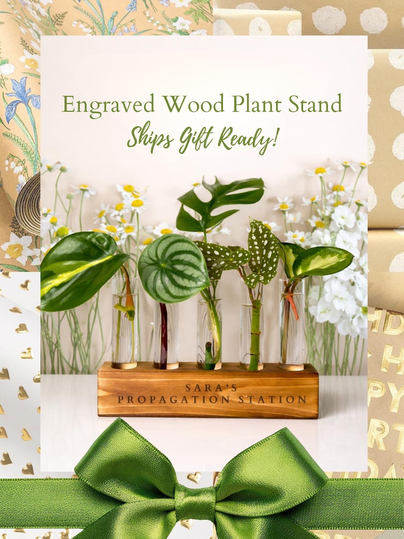 May include: Engraved wood plant stand with four glass propagation tubes, holding various green plants. The wooden base is engraved with "SARA'S PROPAGATION STATION". A green bow is in the foreground. Text reads "Engraved Wood Plant Stand".