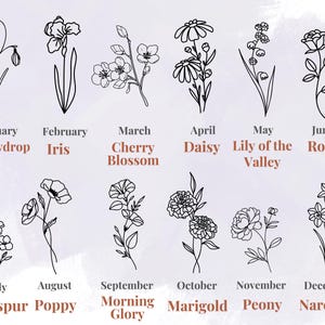 Pu&ograve; includere: Un'illustrazione in bianco e nero di fiori che rappresentano ogni mese dell'anno. Gennaio &egrave; un bucaneve, febbraio &egrave; un iris, marzo &egrave; un fiore di ciliegio, aprile &egrave; una margherita, maggio &egrave; un mughetto, giugno &egrave; una rosa, luglio &egrave; un delphinium, agosto &egrave; un papavero, settembre &egrave; una bella di giorno, ottobre &egrave; un tagete, novembre &egrave; una peonia, e dicembre &egrave; un narciso.