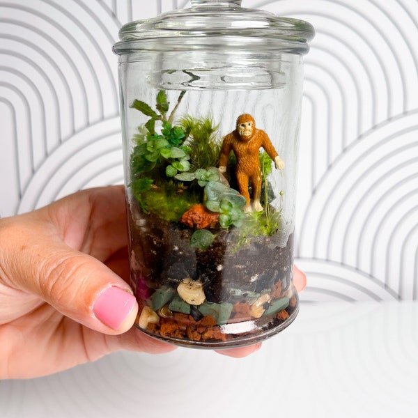 Terrarium Kit DIY Gift for Plant Lover Mini Terrarium with live moss, terrarium plants, zen garden diy kit terrarium gift