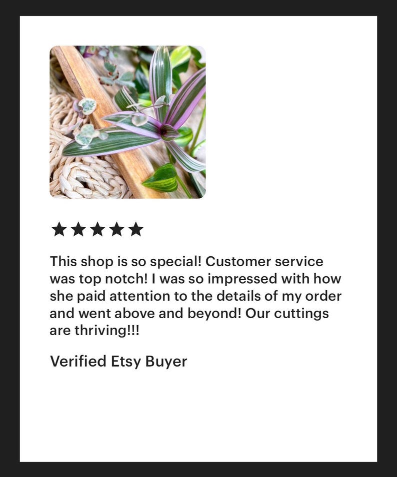 Unique Gift for Her Birthday Gift Box Friendship Gift Thank You Care